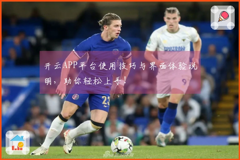 开云APP平台使用技巧与界面体验说明,助你轻松上手!