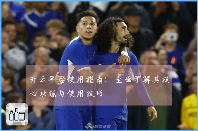 开云平台使用指南：全面了解其核心功能与使用技巧